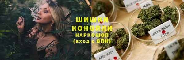 бошки Новозыбков