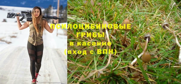 бошки Новозыбков