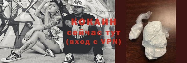 стаф Новодвинск