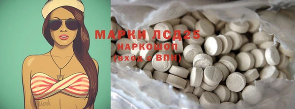 стаф Новодвинск