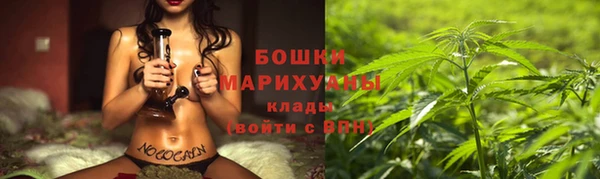 стаф Новодвинск
