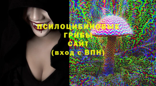 бошки Новозыбков