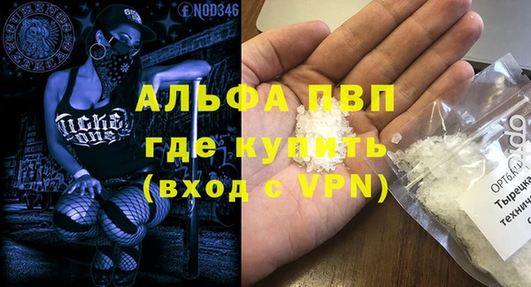 стаф Новодвинск