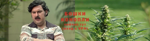 стаф Новодвинск