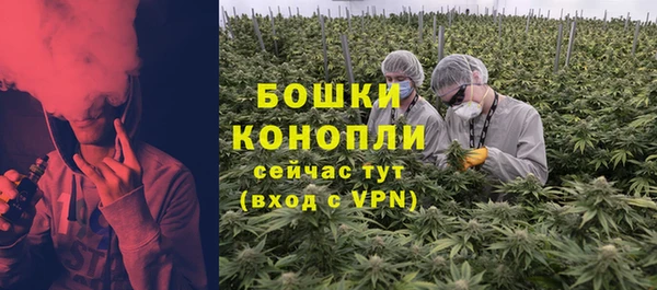стаф Новодвинск