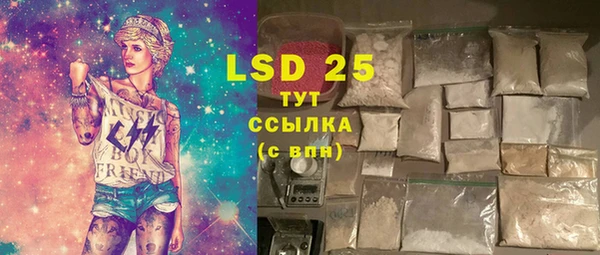 стаф Новодвинск