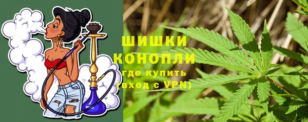 бошки Новозыбков