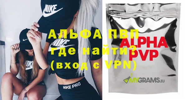 стаф Новодвинск