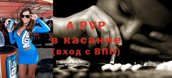 стаф Новодвинск