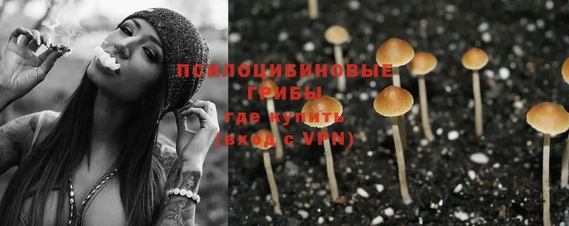 цена наркотик  Электросталь  Галлюциногенные грибы Psilocybe 