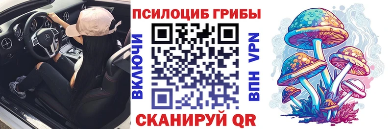 сколько стоит  Электросталь  Псилоцибиновые грибы Cubensis 