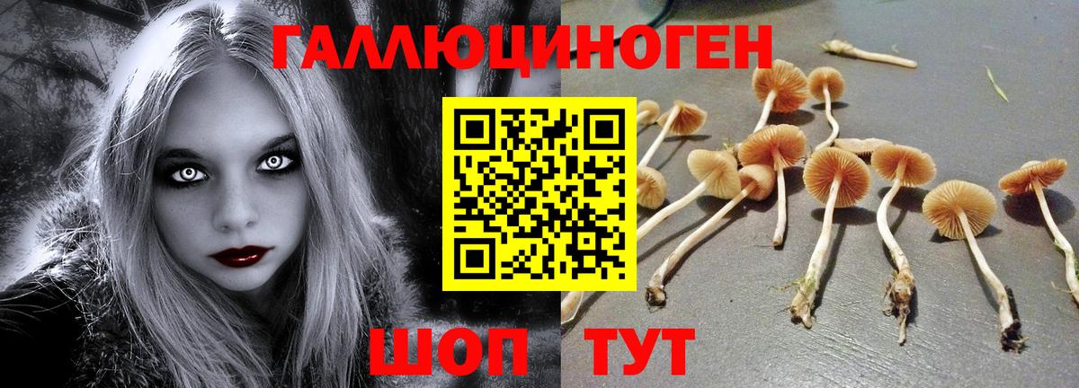 A-PVP  ГАШ  МАРИХУАНА  Вход с VPN  Мефедрон  Масло ТГК  Электросталь  ЛЁД  COCAIN 