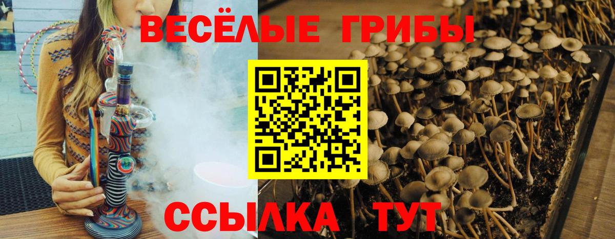 Псилоцибиновые грибы мицелий  как найти   Электросталь  Вход с VPN  Галлюциногенные грибы мицелий 